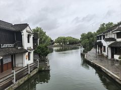 -西塘人家•黑金冠本地好店