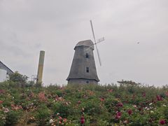 -都江堰玫瑰花溪谷