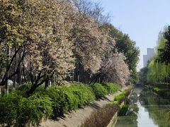 -西湖文化广场