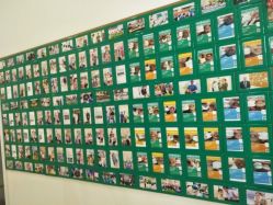 -青苗儿童口腔(长楹天街购物中心)