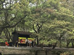 -普陀山风景名胜区-法雨禅寺