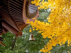-上海青龙寺