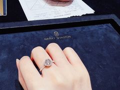 -Harry Winston 海瑞温斯顿