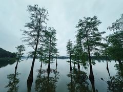 -松山湖风景区松湖烟雨