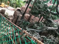 -御龙温泉度假村