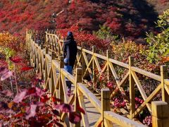 -水峪民俗村