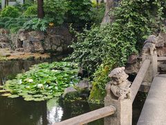 -秋霞圃