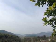 -塔川景区