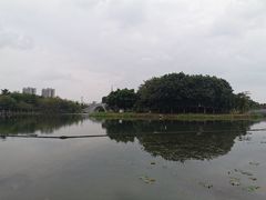 -映月湖公园