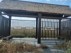 -盐城丹顶鹤湿地生态旅游区