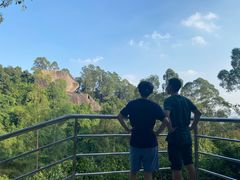 -火炉山森林公园