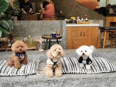 大堂-O'mills Sourdough Bakery&Bistro(永嘉路店)