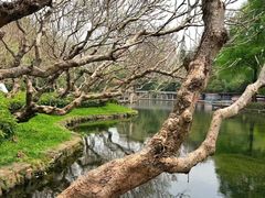 -晓港公园