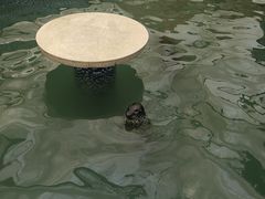 -长春农业博览园
