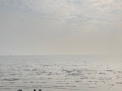 -深圳湾公园(南山区)