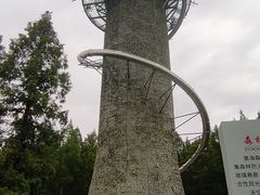 -黄海国家森林公园