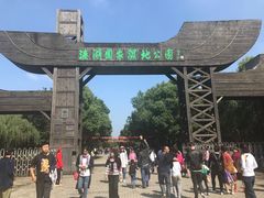 -溱湖国家湿地公园