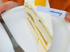 芒果千层-CAKE WANG千层制造所(省府店)