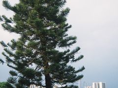 -海珠湖公园