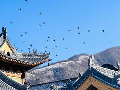 -五台山风景区