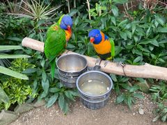 -南宫五洲植物乐园