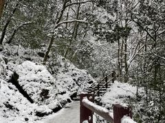 -西岭雪山大飞水景区