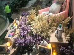-藦茜花园宠物主题亲子互动体验馆(国顺东路店)
