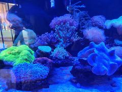 -海合安武汉极地海洋公园