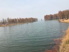 -四明湖