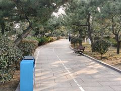 -燕儿岛山公园