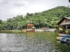 -西双版纳原始森林公园