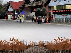 -上海海湾国家森林公园