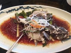 清蒸笋壳鱼-新南华大酒店(广中店)