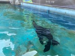 -灵玲国际马戏城