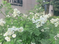 -木塔寺遗址生态公园