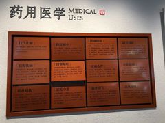 -中国沉香文化博物馆