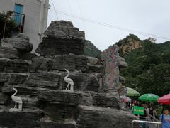 -大岭沟猕猴桃谷风景区