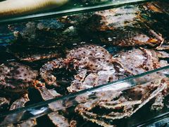 -鸿港海鲜批发市场