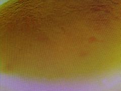 -麦香人家(世贸金街臻选店)