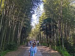-黄公望隐居地