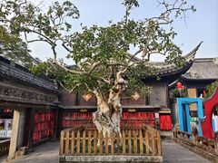 -中山詹园