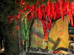 -泰山风景名胜区