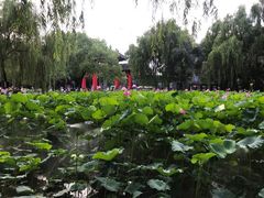 -四川大学(望江校区)