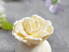 -深圳星河丽思卡尔顿酒店