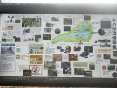 -井之头恩赐公园