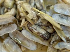-小叶大馅饺子城