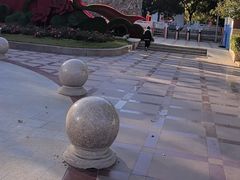 -燕郊植物园