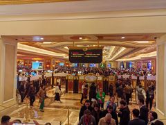 -澳门威尼斯人综合度假区