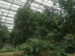 -南山植物园