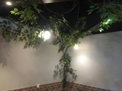 -Ly形象设计